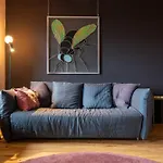 Belle5 Bed & Breakfast Vully-les-Lacs