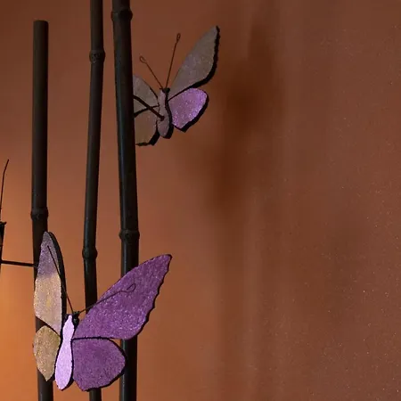 Belle5 Bed and breakfast Vully-les-Lacs