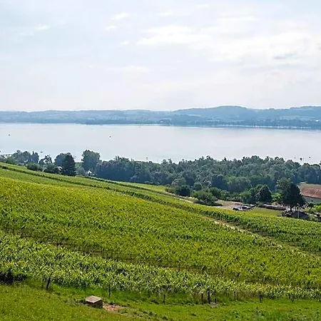 Belle5 Vully-les-Lacs