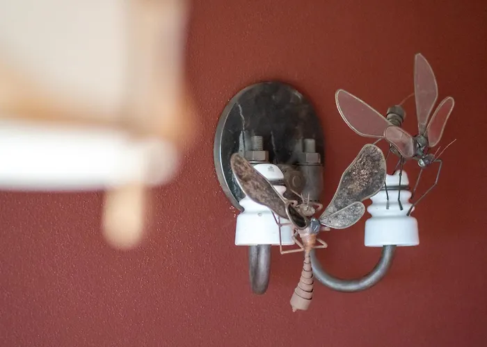 住宿加早餐酒店 Belle5 4*